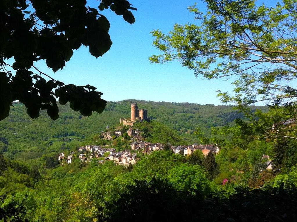 Chambre D Hotes Avec 2 Petits Dejeuners Ou Gite Najac Esterno foto